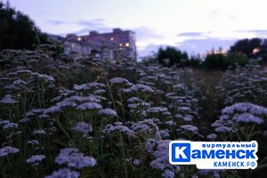 Подробнее...