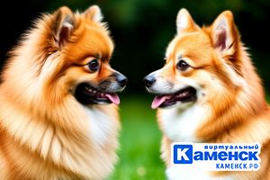 Подробнее...