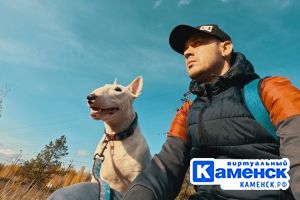 Подробнее...