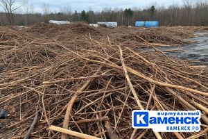 Подробнее...